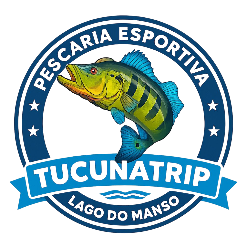 Design sem nome - 2025-10-11T150326.724